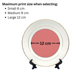 Print details on a custom white ceramic plate with golden rim — print on demand